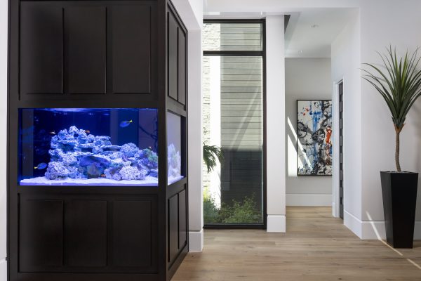 77 Center St Naples FL 34108-print-005-005-Main Fishtank-4200x3070-300dpi